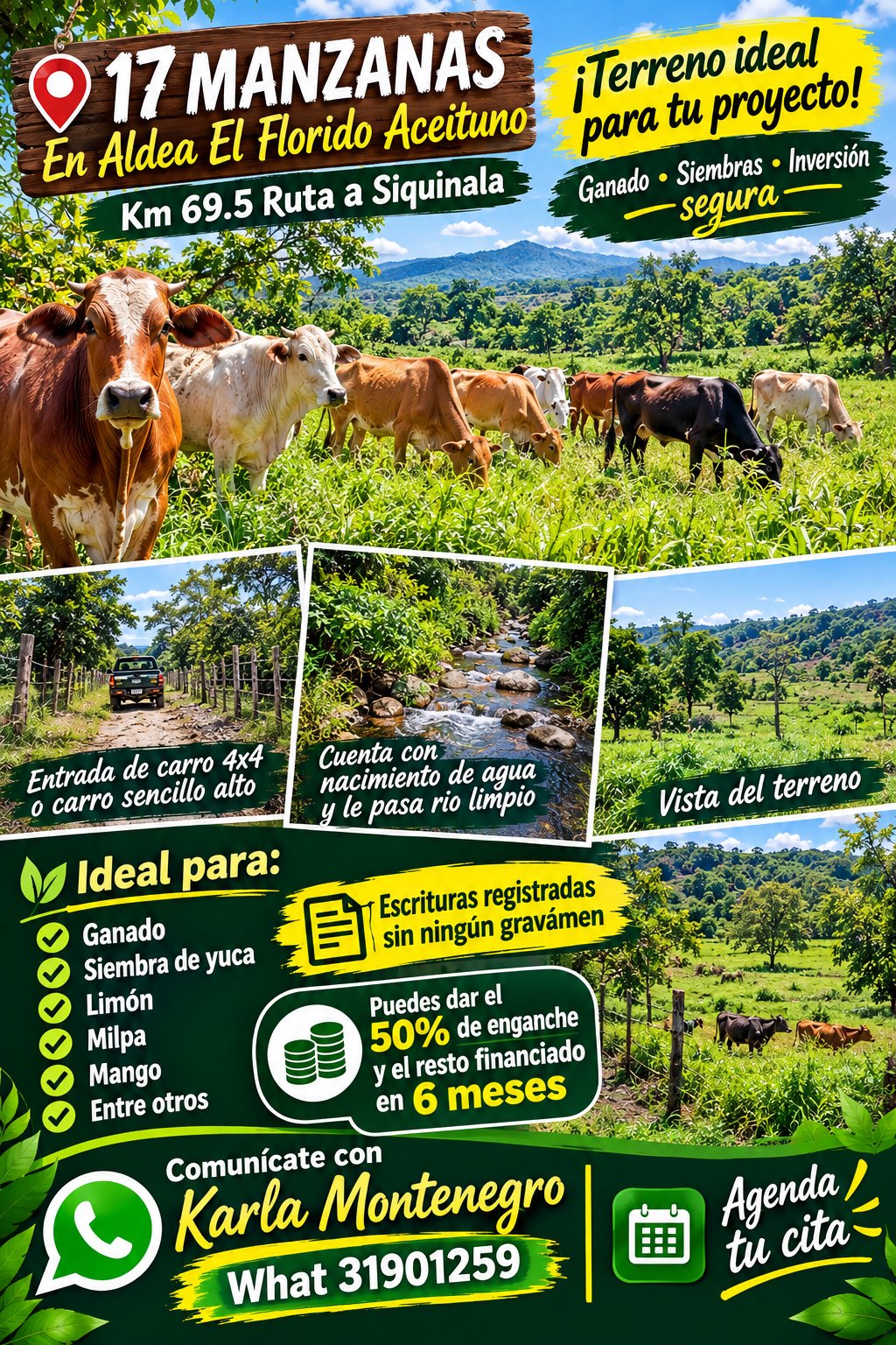 Imagen 1