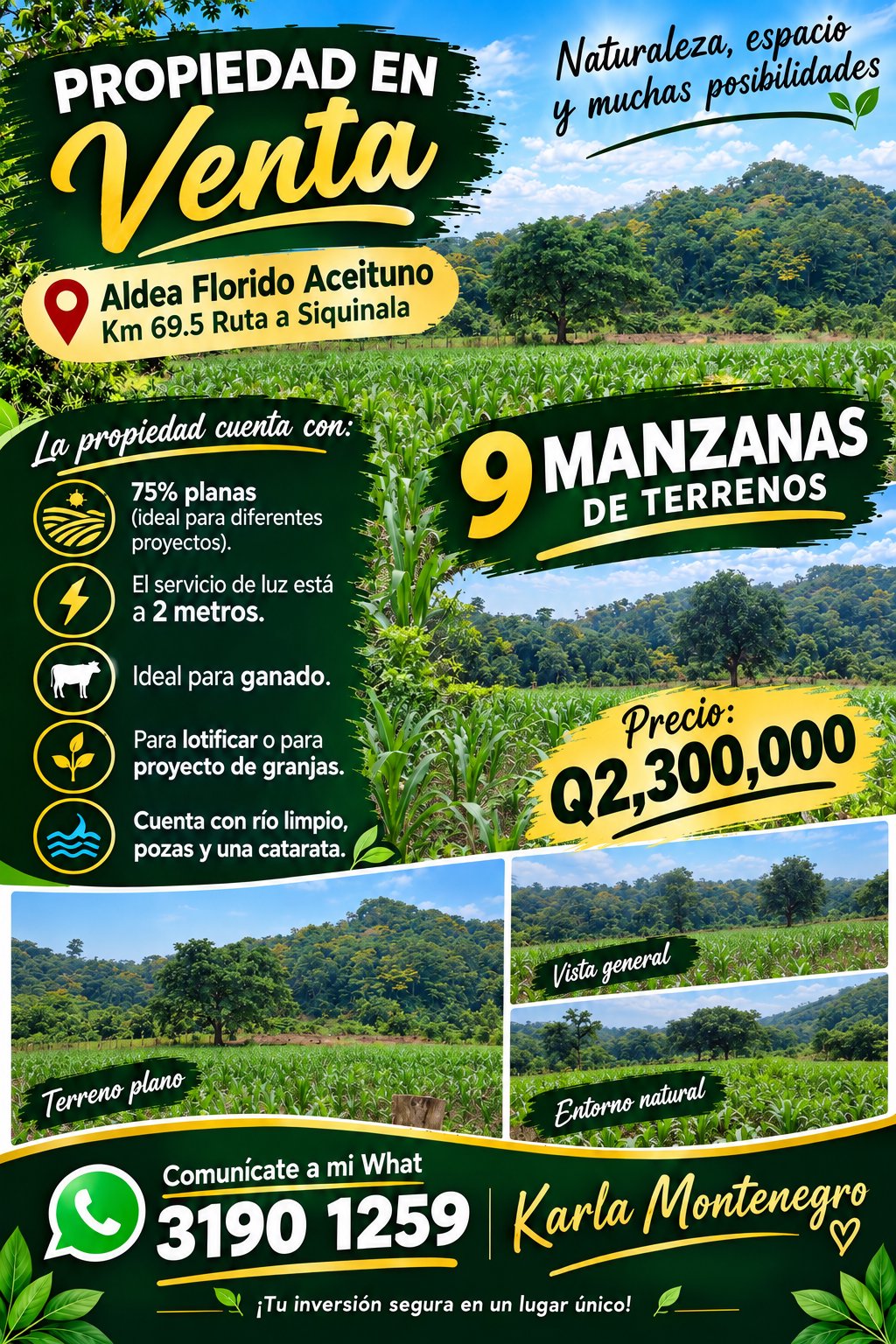 Imagen 1